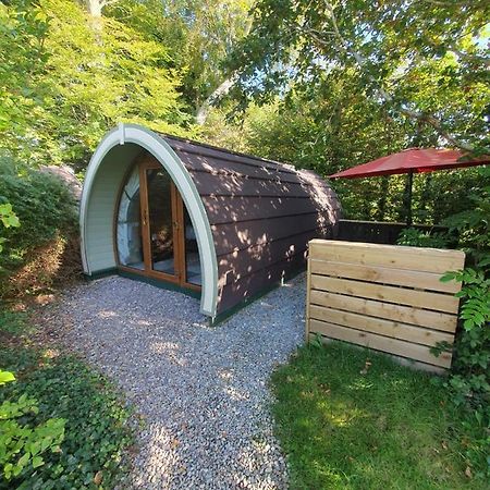 Priory Glamping Pods And Guest Accommodation Killarney Dış mekan fotoğraf