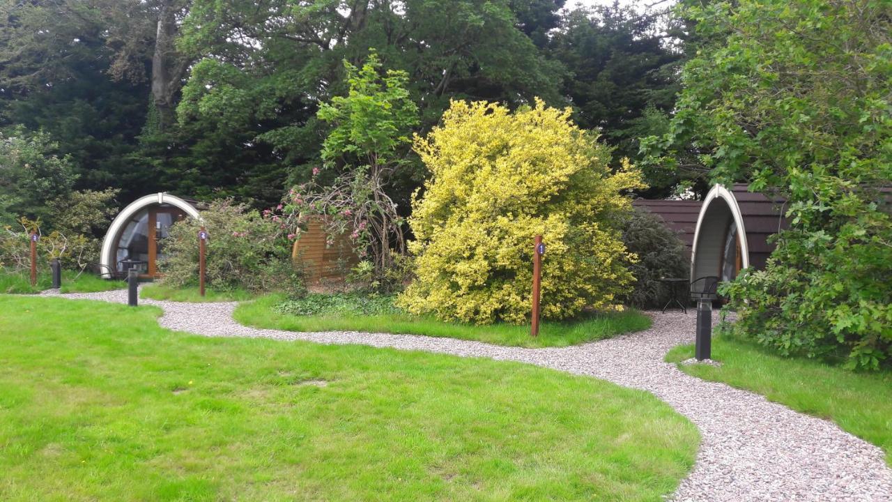 Priory Glamping Pods And Guest Accommodation Killarney Dış mekan fotoğraf