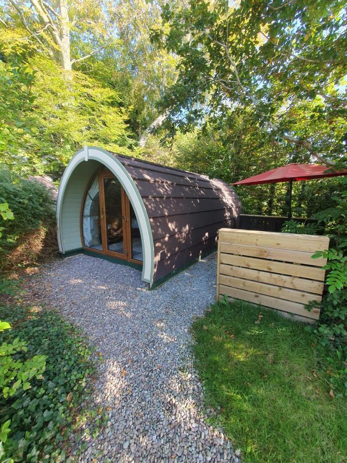 Priory Glamping Pods And Guest Accommodation Killarney Dış mekan fotoğraf