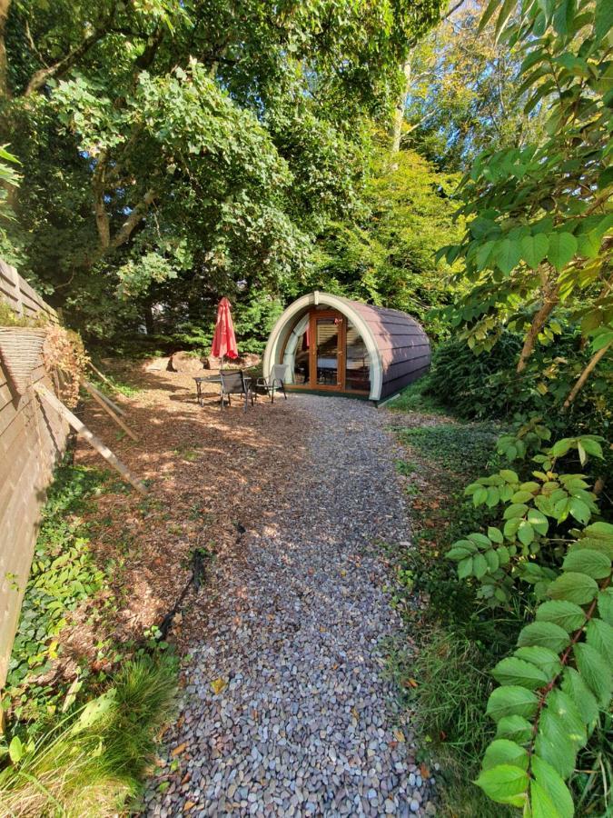 Priory Glamping Pods And Guest Accommodation Killarney Dış mekan fotoğraf