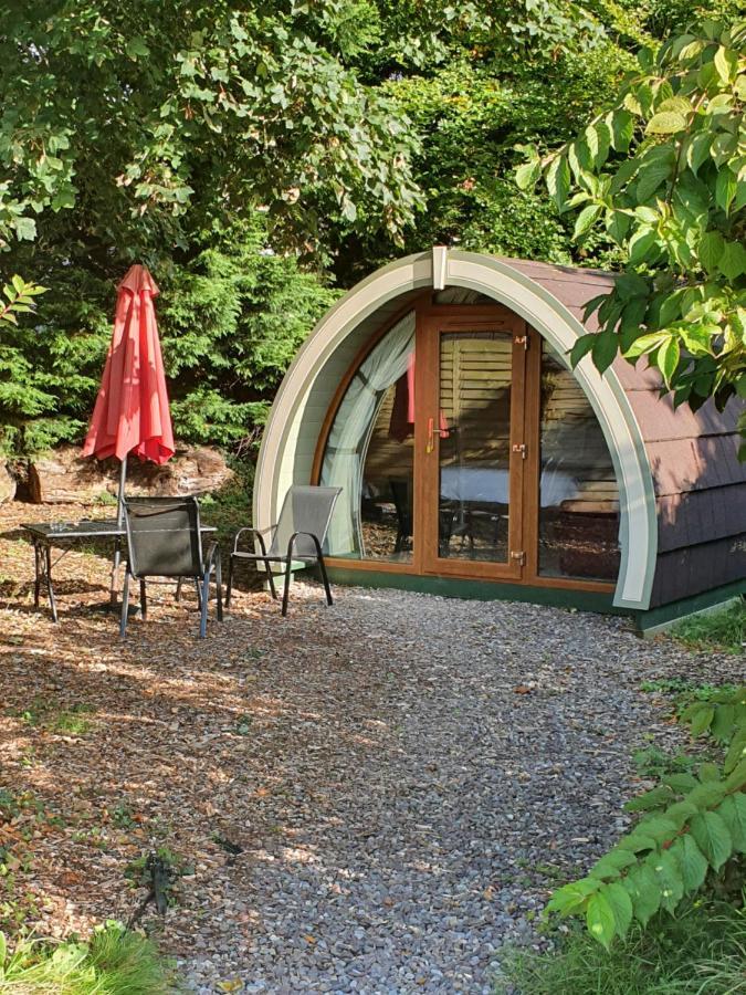 Priory Glamping Pods And Guest Accommodation Killarney Dış mekan fotoğraf