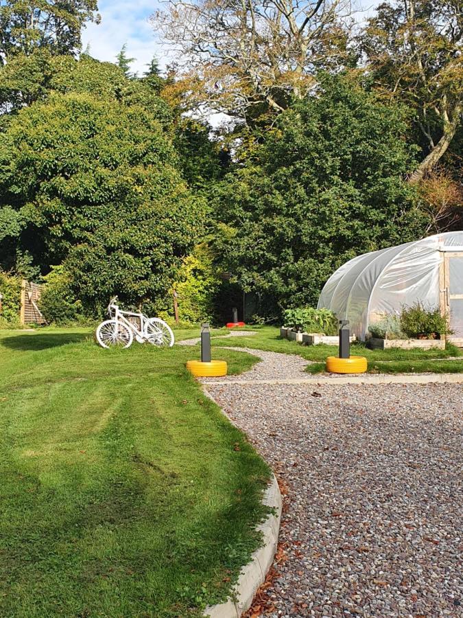 Priory Glamping Pods And Guest Accommodation Killarney Dış mekan fotoğraf