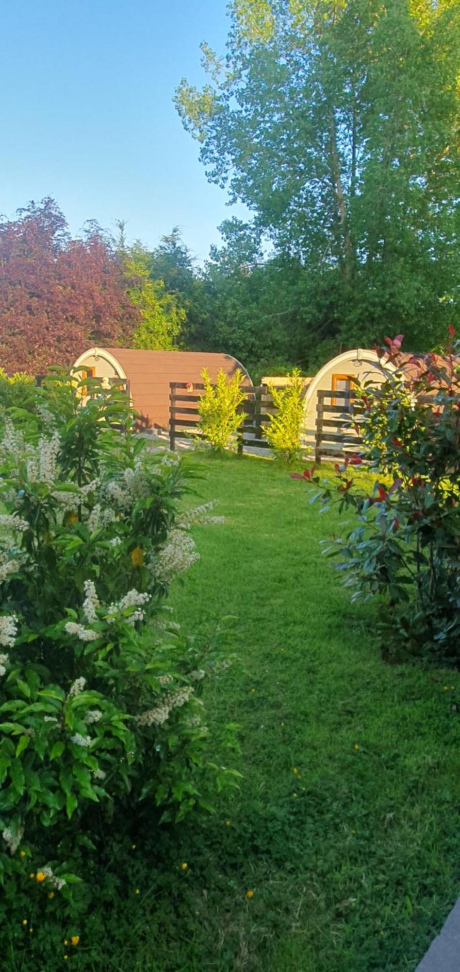 Priory Glamping Pods And Guest Accommodation Killarney Dış mekan fotoğraf