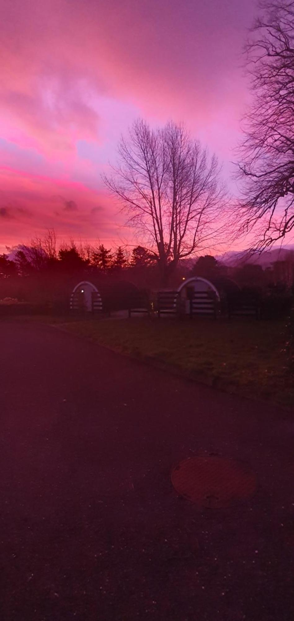 Priory Glamping Pods And Guest Accommodation Killarney Dış mekan fotoğraf