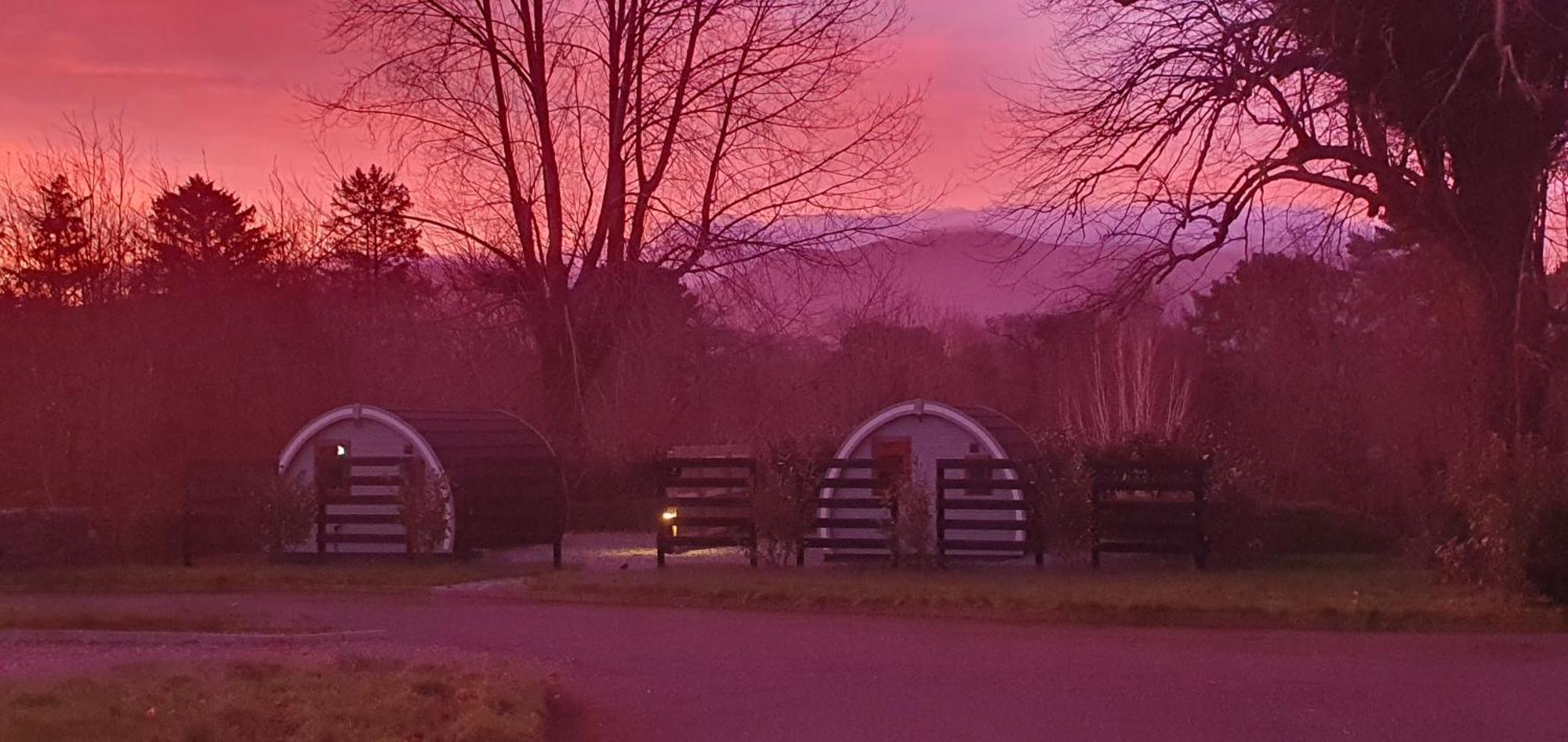 Priory Glamping Pods And Guest Accommodation Killarney Dış mekan fotoğraf