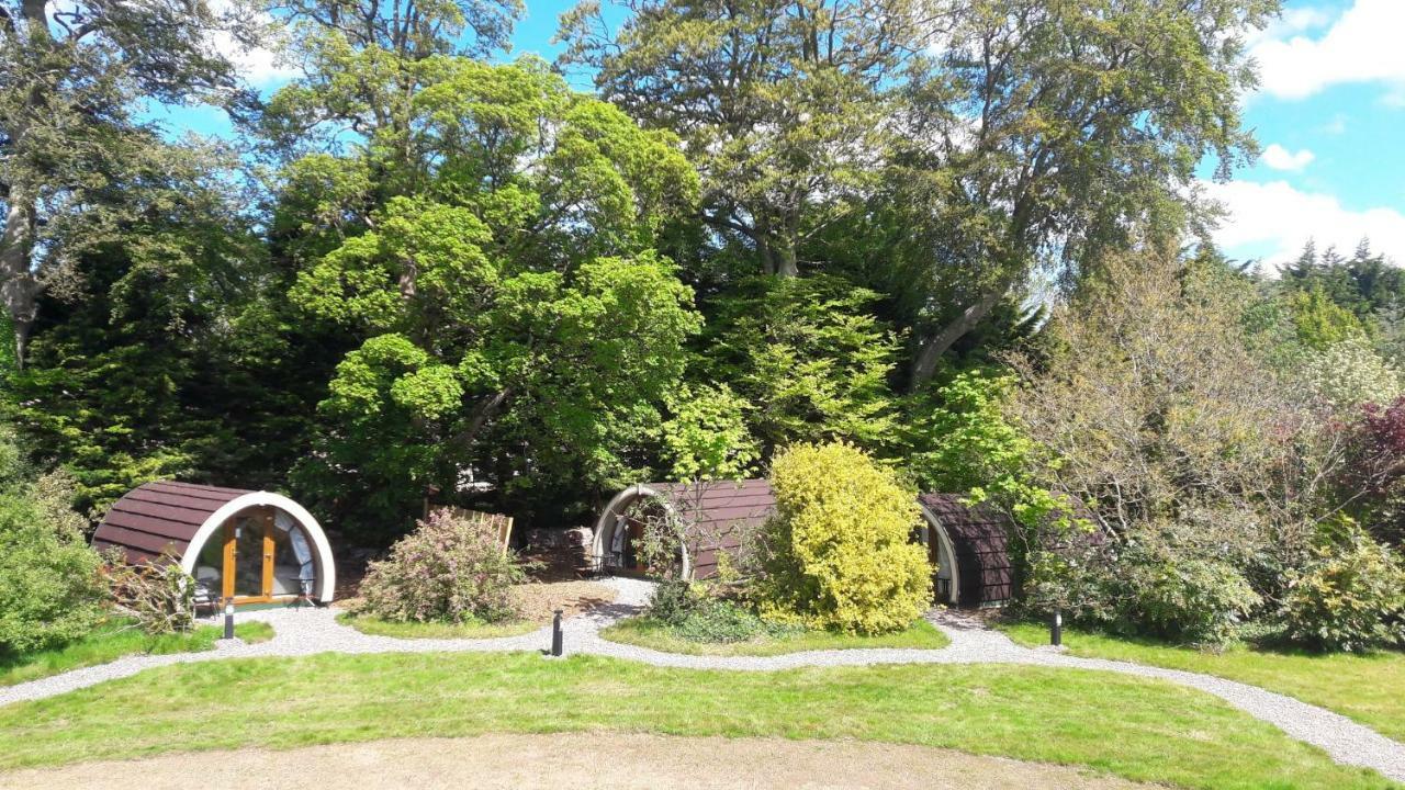 Priory Glamping Pods And Guest Accommodation Killarney Dış mekan fotoğraf