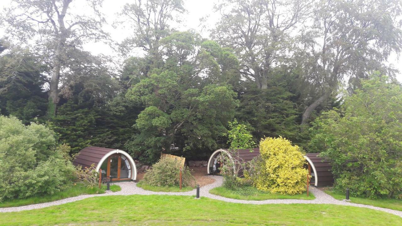 Priory Glamping Pods And Guest Accommodation Killarney Dış mekan fotoğraf