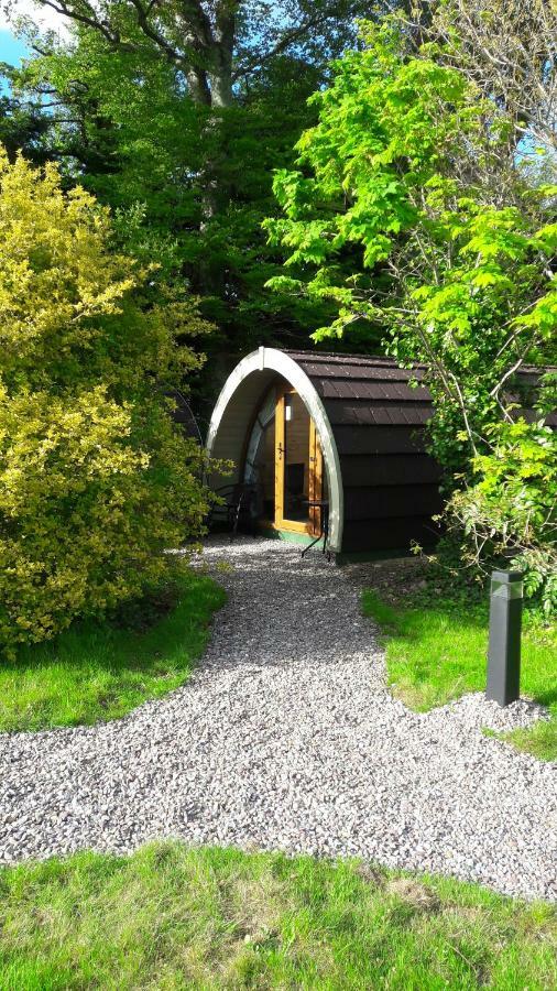 Priory Glamping Pods And Guest Accommodation Killarney Dış mekan fotoğraf