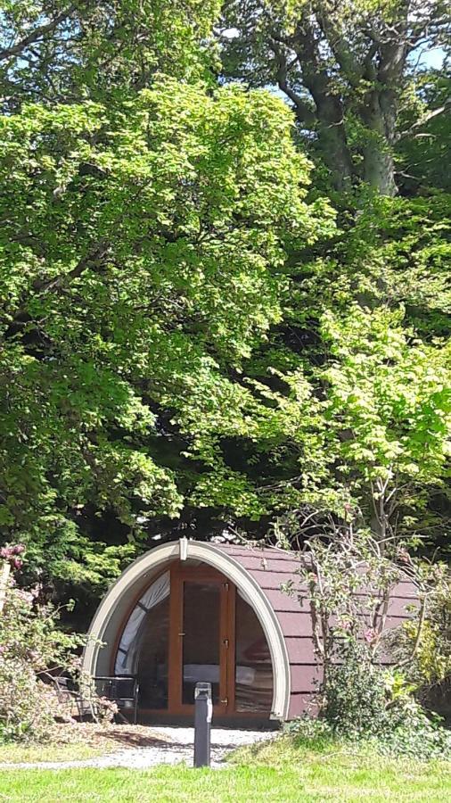 Priory Glamping Pods And Guest Accommodation Killarney Dış mekan fotoğraf