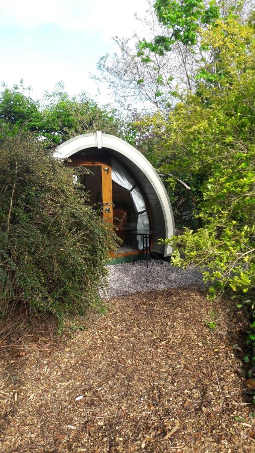 Priory Glamping Pods And Guest Accommodation Killarney Dış mekan fotoğraf